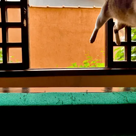 Guaru Surf Hostel-2